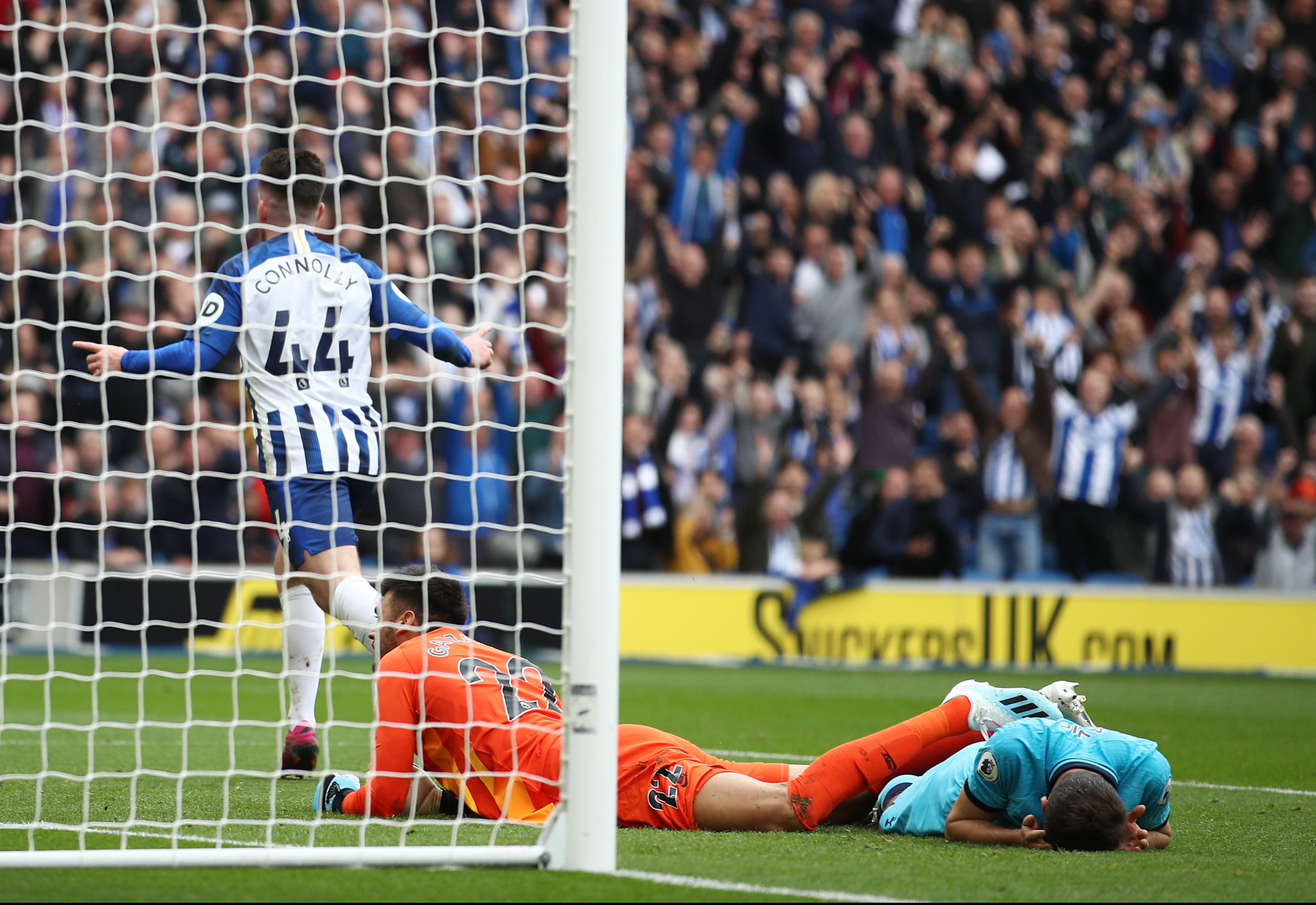 波斯特科格 波斯特科格